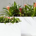 White outdoor planters