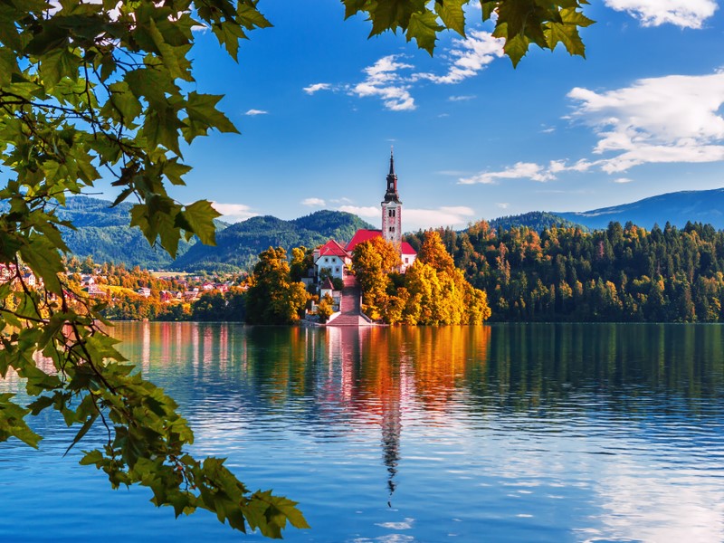 Bled