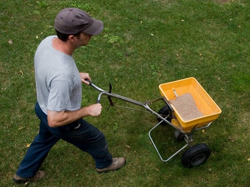 Comprehensive Guide to Popular Types of Grass Fertilisers