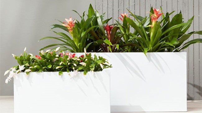 White outdoor planters