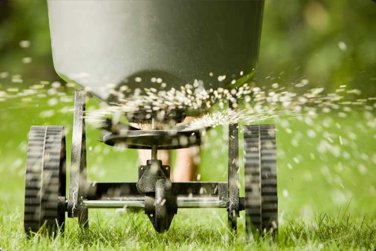Lawn Fertilizer Tales from a Grass Whisperer